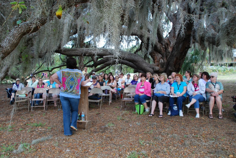 Teaching under the oak tree